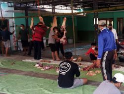 Penyembelihan Dan Distribusi Hewan Kurban Di Masjid Al Makmur Ikuti Prokes.
