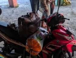 Kecelakaan Tunggal Sepeda Motor Akibatkan Satu Orang MD Ditempat.