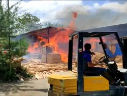 Diduga Lalai Saat Membakar Sisa Produksi, Pabrik Triplek Terbakar.