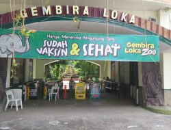 Pengunjung GL Zoo Sudah Mulai Membeludak, Malioboro Mulai Bergeliat.