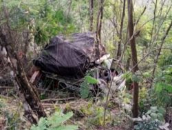 As Rodanya Patah, Sebuah Truck Terjun Ke Jurang Di Dlingo.