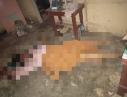 Terduga Pelaku Pembunuh Dan Perampok Honorer Dispenda, Dibekuk Polisi Dalam Tempo 8 Jam.