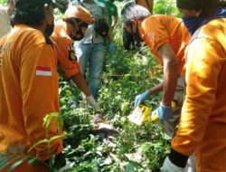 Tragis, Jasad Bayi Dibuang Di Jurang Gembolo Pacet.