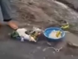 Kontroversi Pria Penendang Sesajen Di Lokasi Erupsi Gunung Merapi.