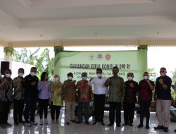 Rehabilitasi DAS Melalui Konsep Agroforestry