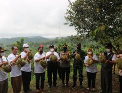 Bupati Kulon Progo  Hadiri Gelar Acara Heboh Buah Kulon Progo Tahun 2022