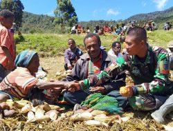 POTRET KEBERSAMAAN MASYARAKAT LANNY JAYA PAPUA DENGAN SATGAS 412 KOSTRAD MENSYUKURI HASIL PANEN