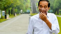 Presiden Joko Widodo Tinjau Candi Borobudur