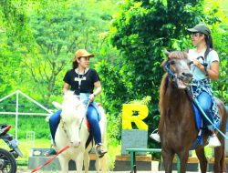 Wisata Berkuda yang Digagas Kalurahan Ngestirejo, Kapanewon Tanjungsari Berorientasi Pada Peningkatan Pariwisata Daerah