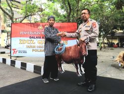 Sebanyak 103 Hewan Qurban dari Polda DIY Untuk Masyarakat