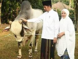 Presiden Jokowi akan Salat Iduladha 1444 H di Istana Yogyakarta Bersama Masyarakat