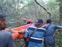 Korban Hilang di Hutan Dlingo Bantul Berhasil Ditemukan dalam Kondisi Selamat