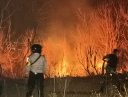 Lahan Hutan Seluas 1,5 Hektar Milik Warga yang Berada Diatas Tanah SG Terbakar
