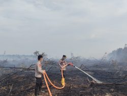 Personel Tambahan Dikerahkan Padamkan Kebakaran Lahan Di Gelumbang