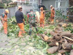 Babinsa Koramil 04/Gambir Melaksanakan Kerja Bakti Bersama PPSU