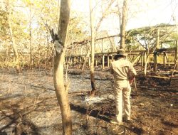 Antisipasi Kebakaran Susulan, Pemerintah Kapanewon Ngawen Datangi Lokasi Kebakaran Bekas Kandang Ayam di Sambirejo Watusigar