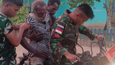 Babi Hutan Menyerang Warga Nasem