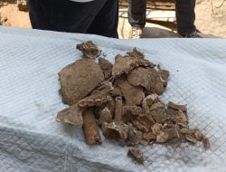 Kerangka Manusia Ditemukan Pekerja saat Menggali Resapan Septictank di Bantul