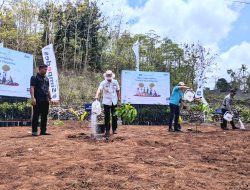 Ribuan Bibit Tanaman Produktif dari BRI Diterima 26 Desa Briliant Gunungkidul