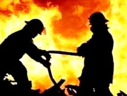 Diduga Korsleting Listrik Saat Hidupkan Genset, Pabrik Kerupuk di Bantul Terbakar