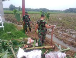 Dukung Ketahanan Pangan, Kodim 0505/JT Tanam 250 Bibit Pohon Pisang
