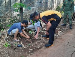 Untuk Penghijauan Lahan, Binmas Polsek Bantargebang Kegiatan Penanaman Pohon