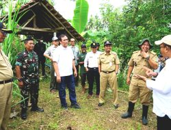Kementerian Pertanian RI Kunjungi Gunungkidul Bantu Pompanisasi