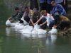 Jaga Ekosistem Air, Puluhan Ribu Benih Ikan Dilepas di 4 Telaga oleh Bupati Sunaryanta