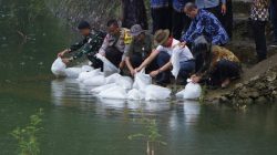 Jaga Ekosistem Air, Puluhan Ribu Benih Ikan Dilepas di 4 Telaga oleh Bupati Sunaryanta