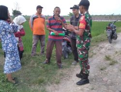 Kepala DKPP Bojonegoro Turun ke Areal Persawahan Kecamatan Sumberrejo