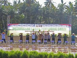 Manfaatkan Lahan tidak Produktif, Polres Kulonprogo Buka Lahan Pertanian Baru Dukung Program Kedaulatan Pangan