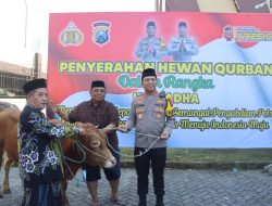 Polresta Sidoarjo Salurkan Hewan Kurban 21 Ekor Sapi dan 55 Ekor Kambing ke Masyarakat