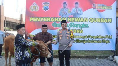 Polresta Sidoarjo Salurkan Hewan Kurban 21 Ekor Sapi dan 55 Ekor Kambing ke Masyarakat
