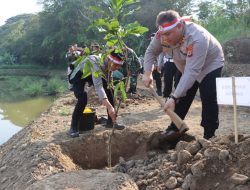 Jaga Kelestarian Bumi dan Ketahanan Pangan, Polres Bantul Tanam 1000 Pohon