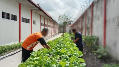 Warga Binaan Lapas Sampit Hijaukan Area Branggang dengan Menanam Sayuran
