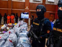 BNN-Bea dan Cukai Berhasil Ungkap Kasus Penyelundupan Ganja Thailand Sindikat Narkotika Internasional