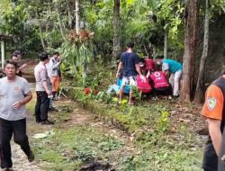 Alami Laka Tunggal, Pembonceng Meninggal Dunia di Lokasi Kejadian