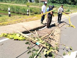 Curah Hujan Tinggi, Jalan Baru Tawang-Ngalang Ambles