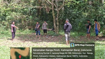 Informasi Soal Adanya Gelanggang Judi Sambung Ayam di Melawi Itu Hoax Tegas Kapolres