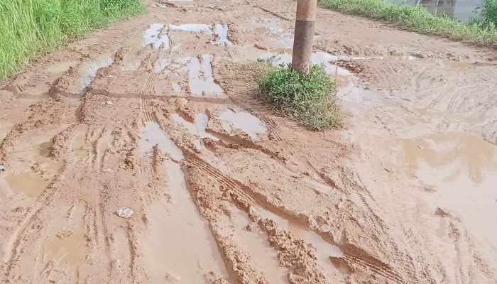 Pemuda Desa Ungkap Kondisi Jalan Rusak di Medsos, Warga Serukan Prioritas Pembangunan