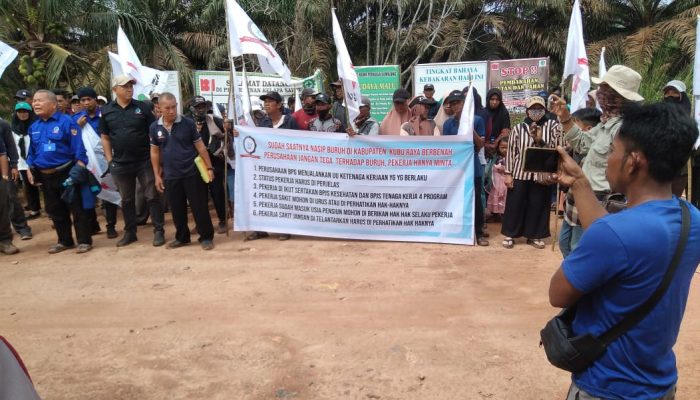 Puluhan Buruh Gelar Demo di PT. Borneo Pasifik Global Tuntut Hak yang Terabaikan, Perusahaan Responsif