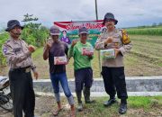 Polsek Balongbendo Serahkan Pupuk untuk Tanaman Jagung ke Masyarakat