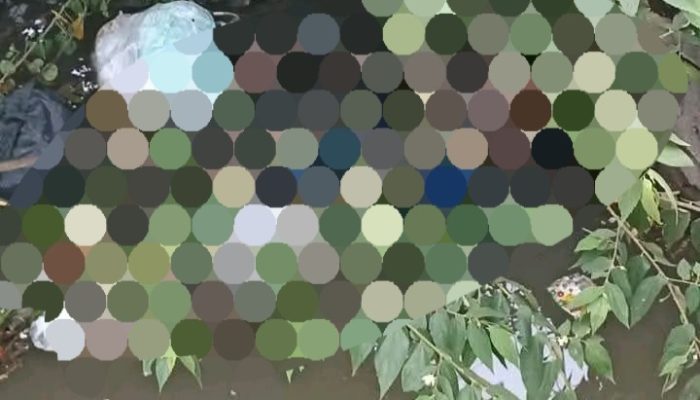 Geger !!! Warga Desa Cangkring Turi Prambon Dikejutkan Mayat Mengapung