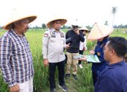 Kemenkum Jatim Dorong Beras Sintanur Lembah Raung menjadi Produk Indikasi Geografis