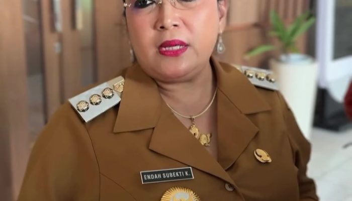 Batalkan Pembelian Mobil Dinas Baru, Bupati Endah Pilih Anggaran Dialihkan ke Program yang Mendesak