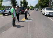 Kecelakaan Maut di Jalan Wates-Purworejo, 1 Orang Tewas