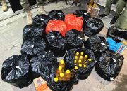 Ratusan Botol Miras Oplosan Disita Polres Bantul dalam Razia Pekat
