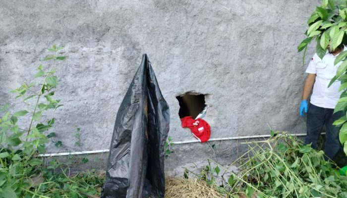 Gudang Pakan di Sewon Bantul Dibobol Maling, Kerugian Capai Rp 124 Juta