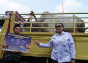 Bupati Gunungkidul Serahkan Hewan Kurban untuk Masyarakat Jelang Idul Adha 2025