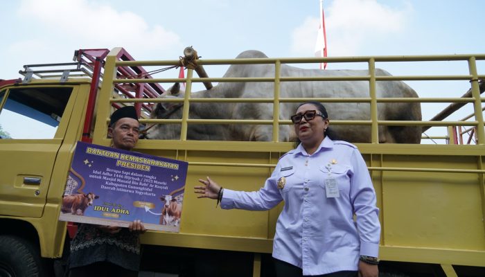Bupati Gunungkidul Serahkan Hewan Kurban untuk Masyarakat Jelang Idul Adha 2025